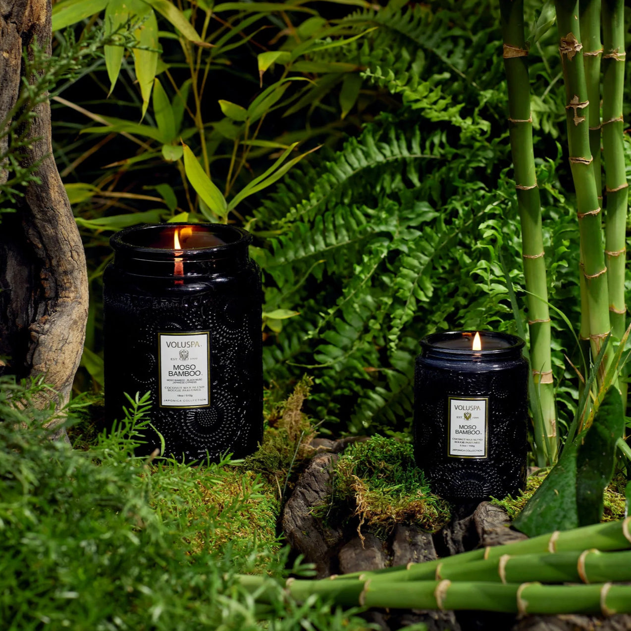 Moso Bamboo Voluspa