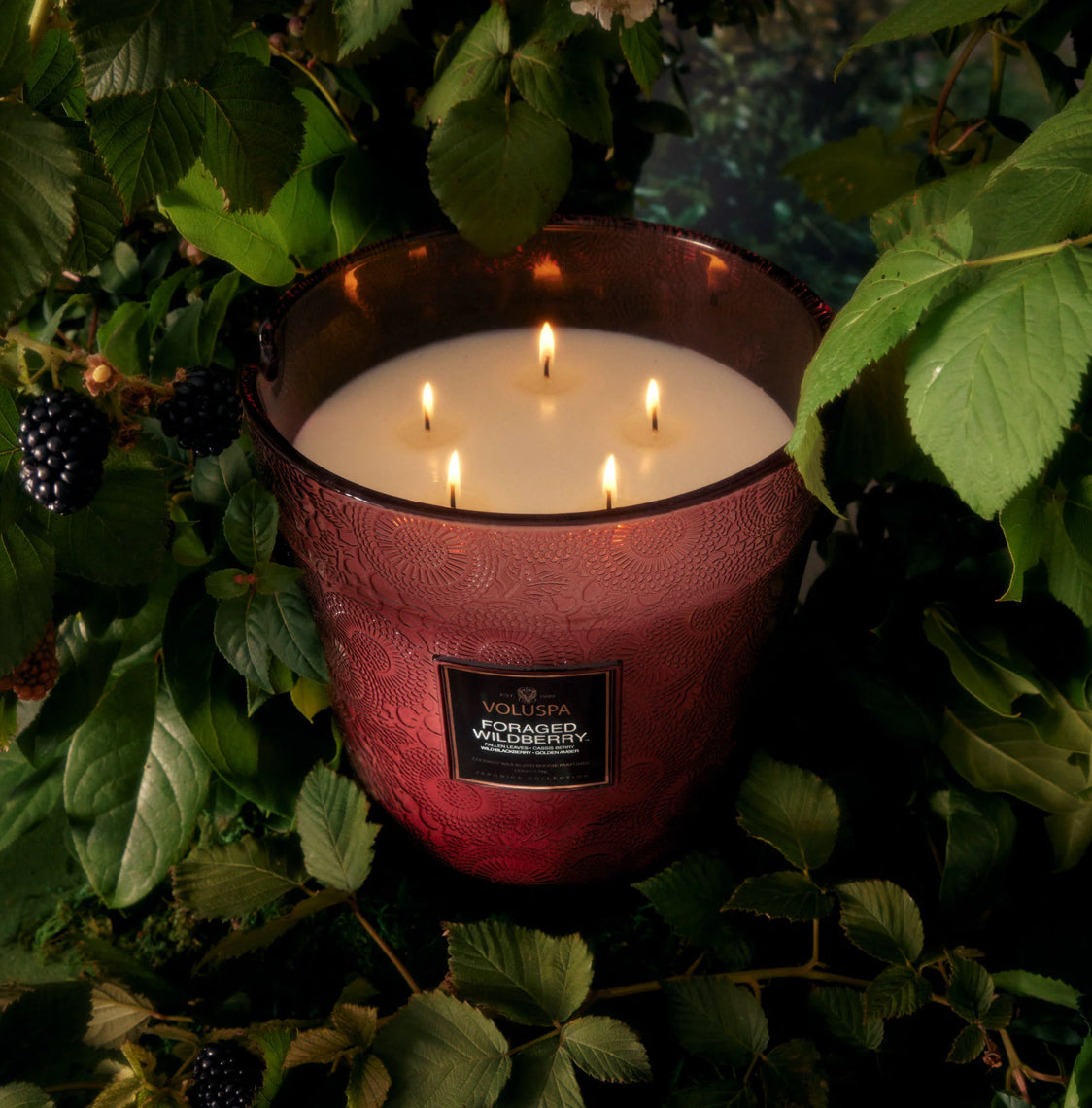 Foraged Wildberry 5 Wick Candle