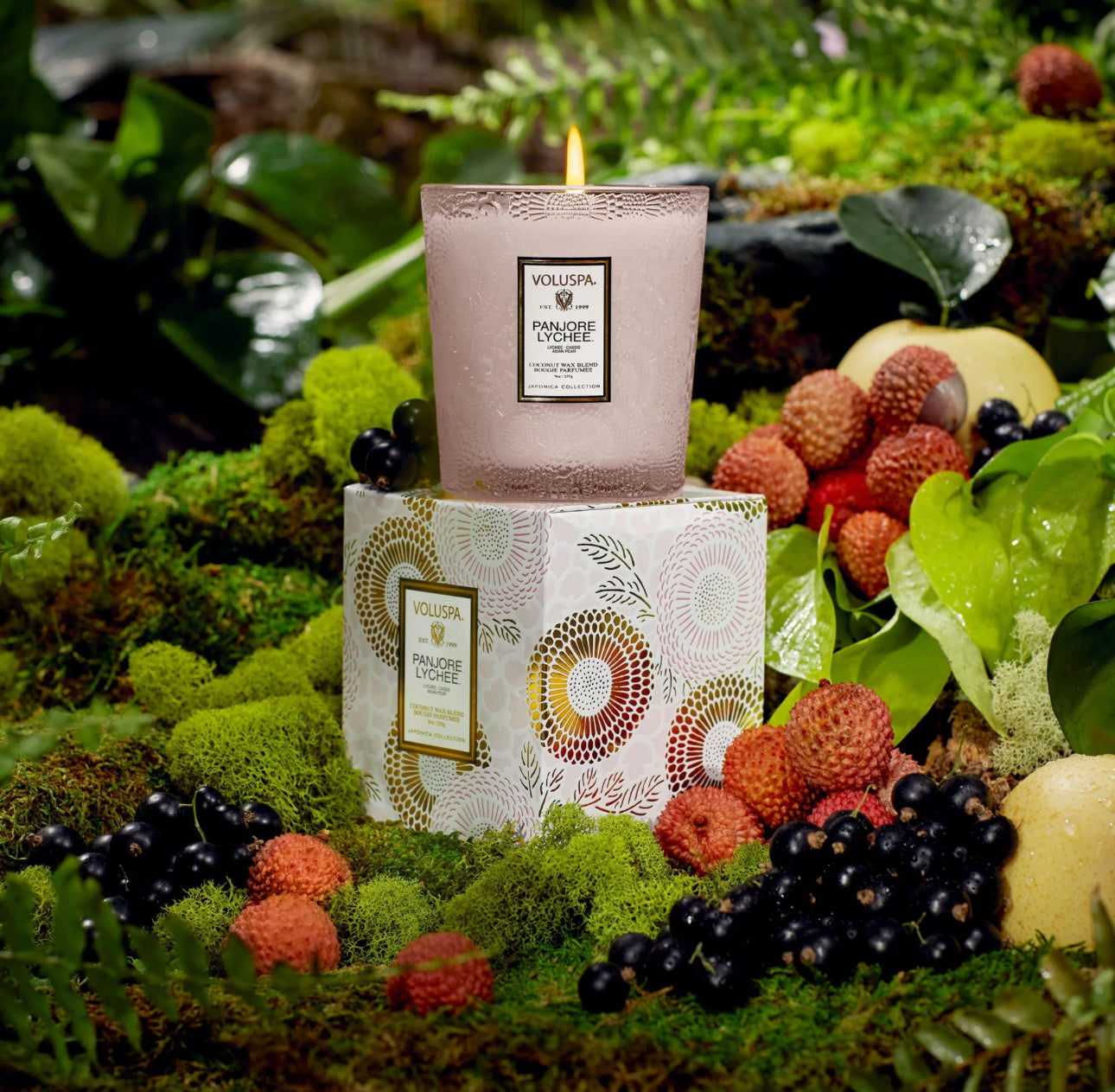 Panjore Lychee Voluspa