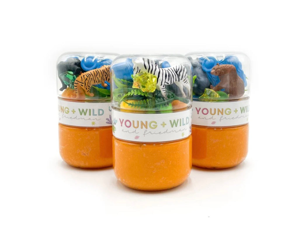 Grab & Go Dough Jar | Zoo Friends