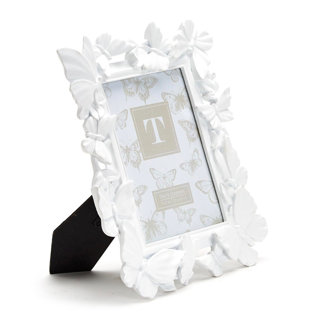 Butterfly Frame