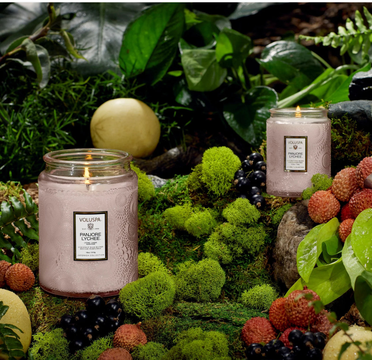 Panjore Lychee Voluspa