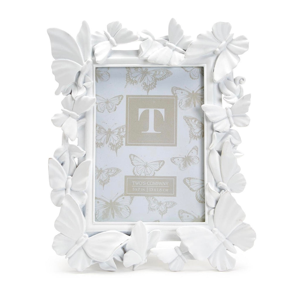 Butterfly Frame