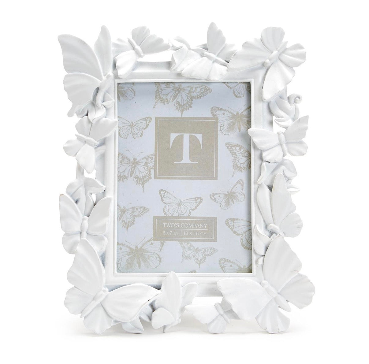 Butterfly Frame
